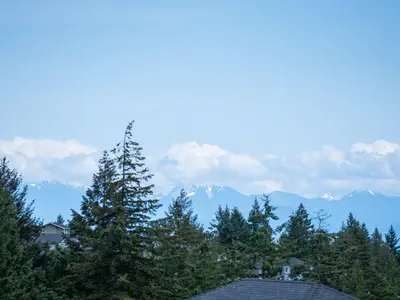 View 19