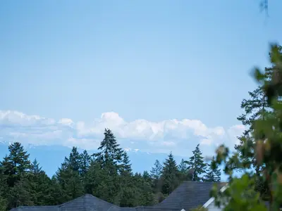 View 21