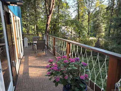 View 24