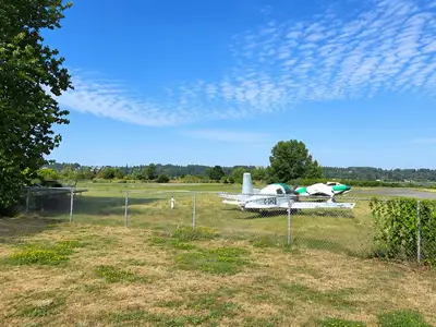 View 19