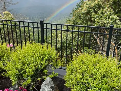 View 38