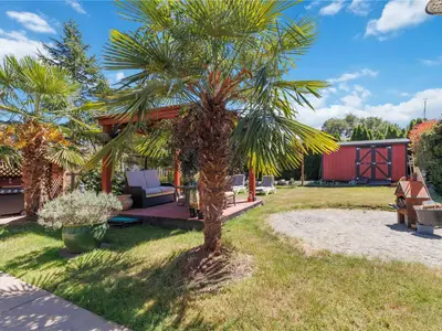 View 25