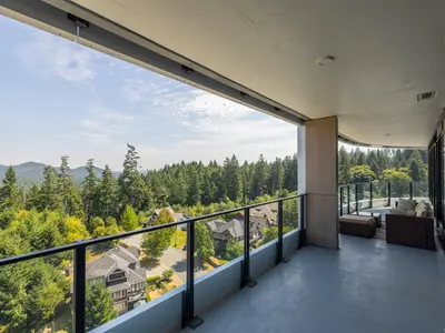 View 24