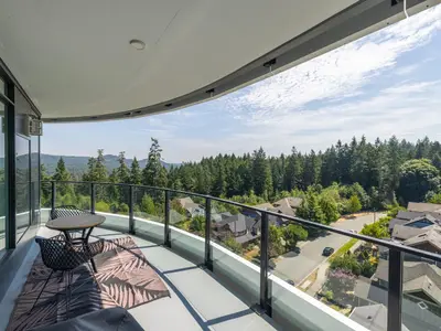 View 19