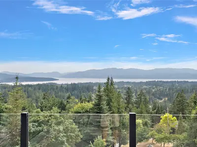 View 66