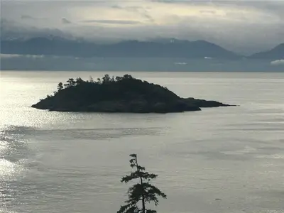 View 12