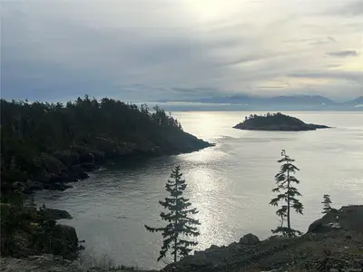 View 1