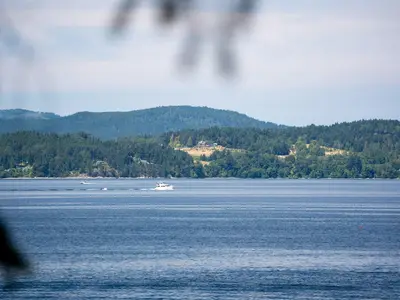 View 16