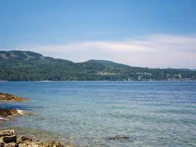 View 3