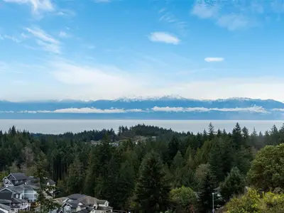 View 88