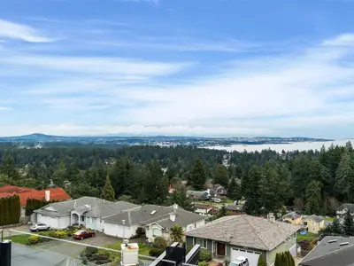 View 86