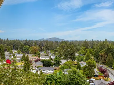View 37