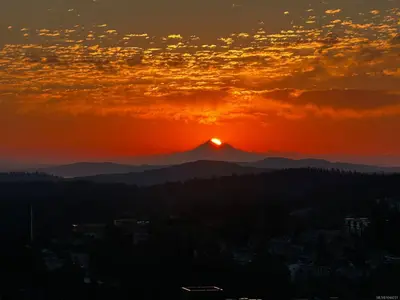 View 43