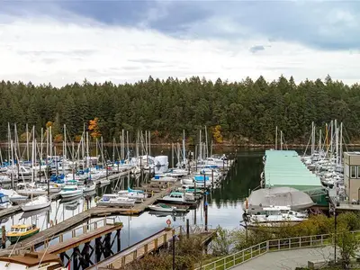 View 11