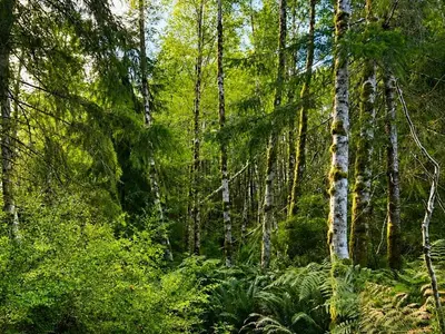 View 5