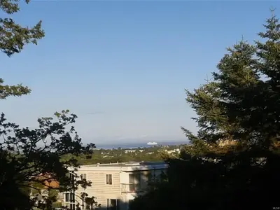 View 56