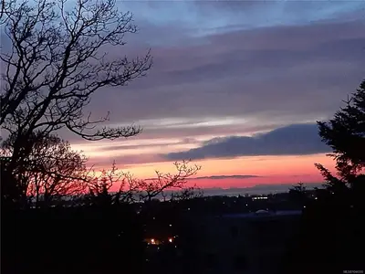 View 57