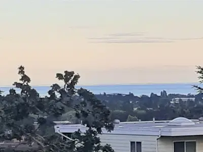 View 61