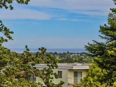View 55