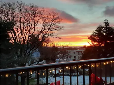 View 59