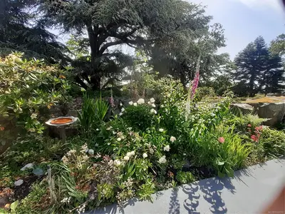 View 68