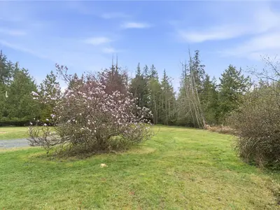 View 21