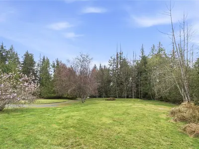 View 15