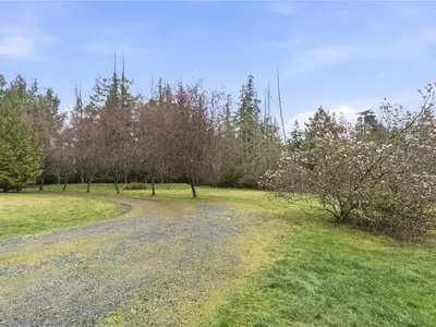 View 19