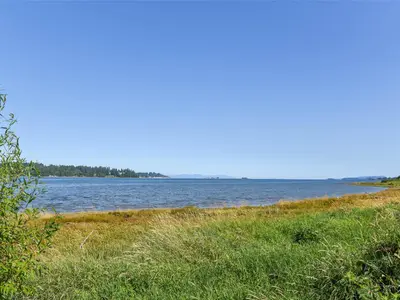 View 46