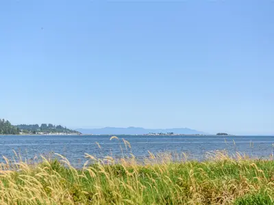 View 5