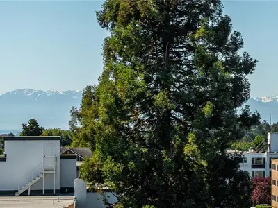 View 25