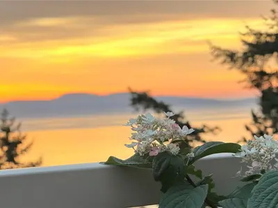 View 28