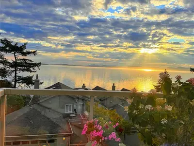 View 30