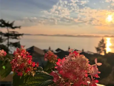 View 29