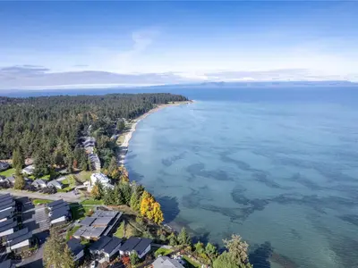 View 55