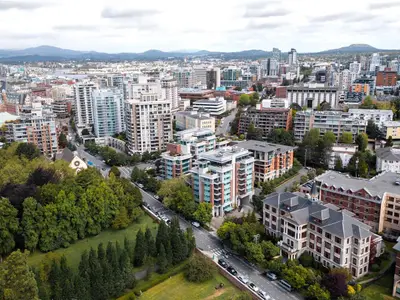View 42