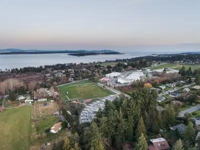 View 50