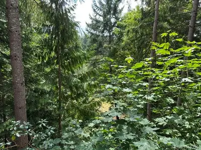 View 16