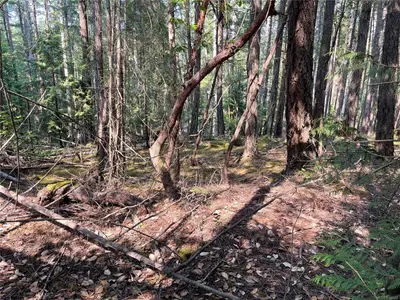 View 11