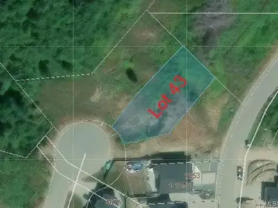 View 12