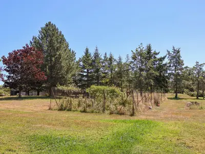 View 17