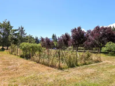 View 18