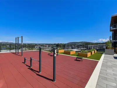 View 40