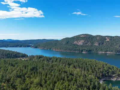 View 36