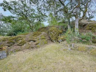 View 51