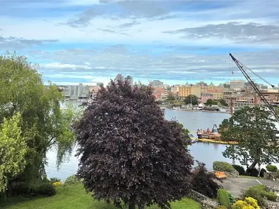 View 22