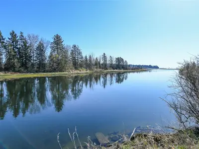 View 50