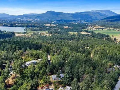 View 39