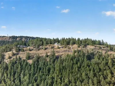 View 65