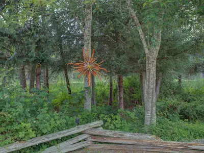View 47